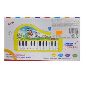 ORGANO MUSICAL INFANTIL CHICO 24 TECLAS  -02203